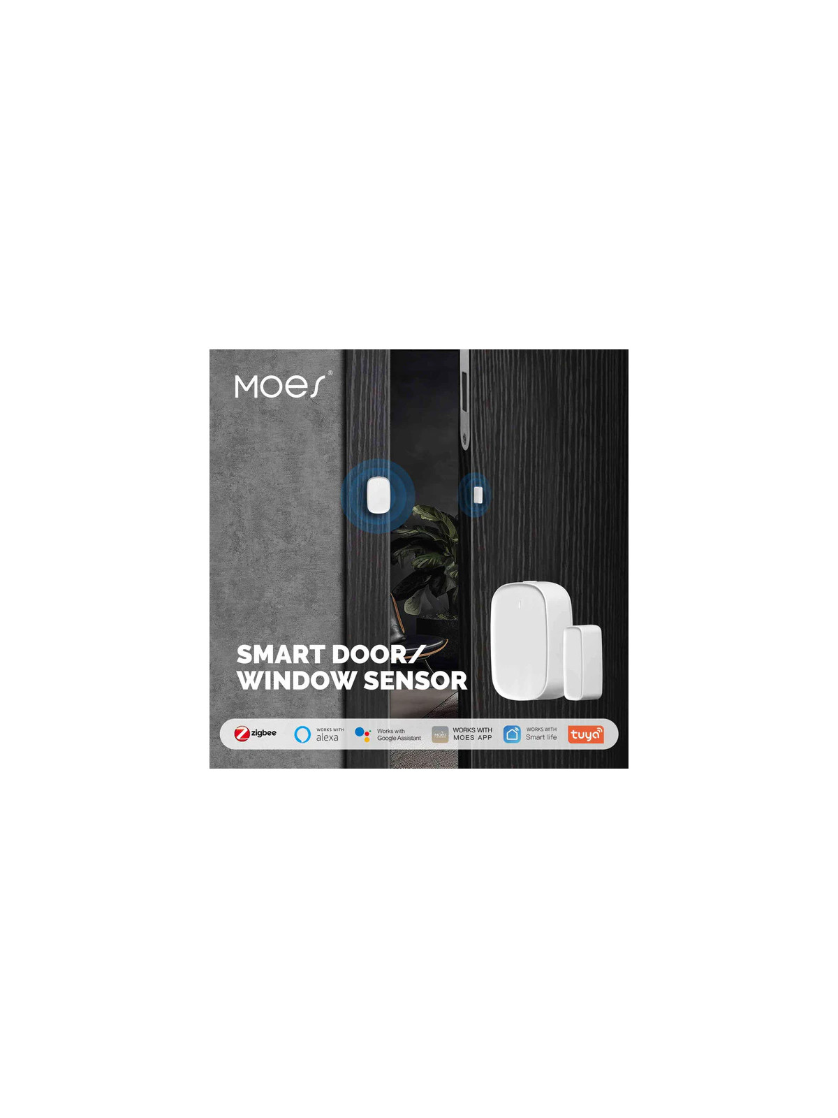 Moes "ZSS-S01-GWM-C-MS" - Détecteur d'ouverture de porte et fenêtre ZigBee - Compatible Tuya Smart Life