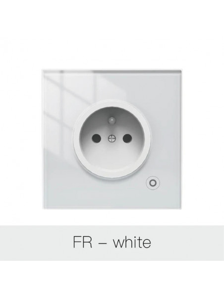 Moes "ZK-FR16M-XX-MS" - Prise encastrée connectée ZigBee - Compatible Tuya Smart Life, eedomus, Home Assistant, etc...