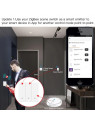Moes "ZT-B-EU1-MS" - Interrupteur émetteur mural / contrôleur de scènes ZigBee à 1 bouton - Compatible Tuya SmartLife, Lidl Home