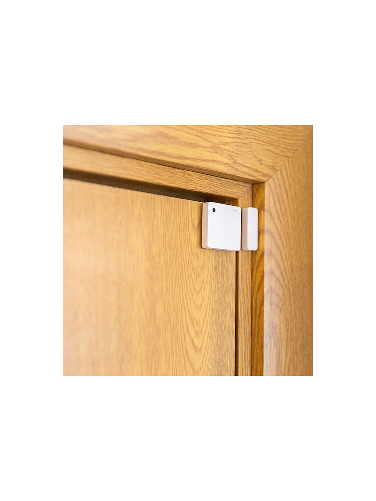 Shelly "BLU Door Window Sensor" - Capteur Bluetooth d'ouverture de porte et fenêtre