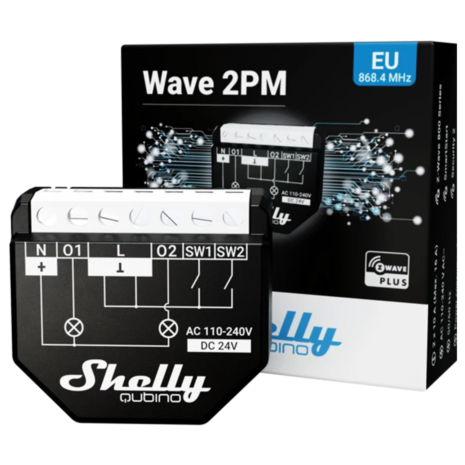 Shelly Qubino Wave 2 PM