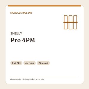 Shelly Pro 4PM